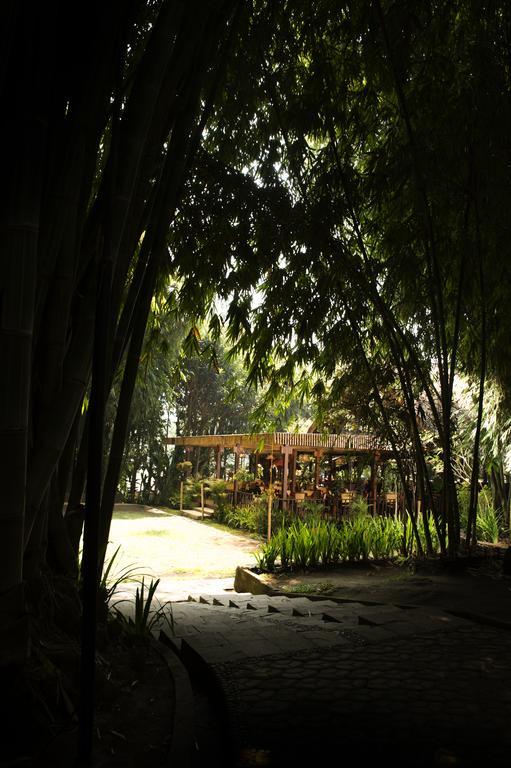 Kampung Sampireun Resort & Spa การุต ภายนอก รูปภาพ